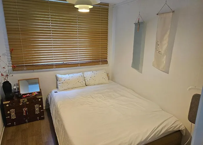 8 Minutes Away From Chungmuro Station, 5박이상 조식, 명동근처 Hill Location